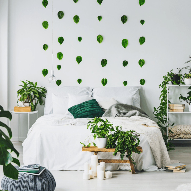 Jungle Fever: Creëer je eigen urban Jungle - Green Bubble
