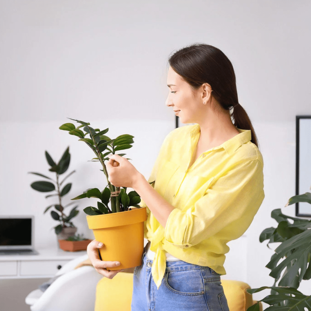Deze plant past het beste bij jouw sterrenbeeld - Green Bubble