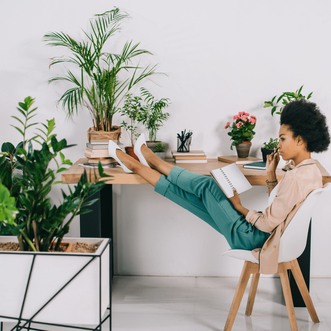 ¿Estrés? Estas plantas te ayudan a relajarte - Green Bubble