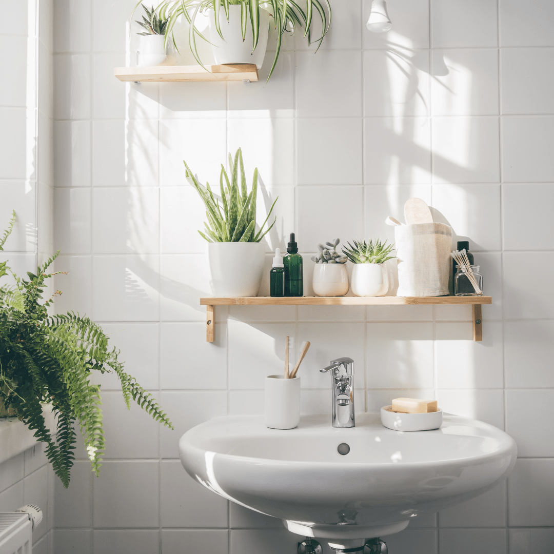 Schaffen Sie mit Pflanzen eine botanische Wellness-Oase in Ihrem Badezimmer - Green Bubble