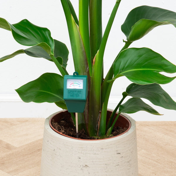 Verzorging collectie Green Bubble