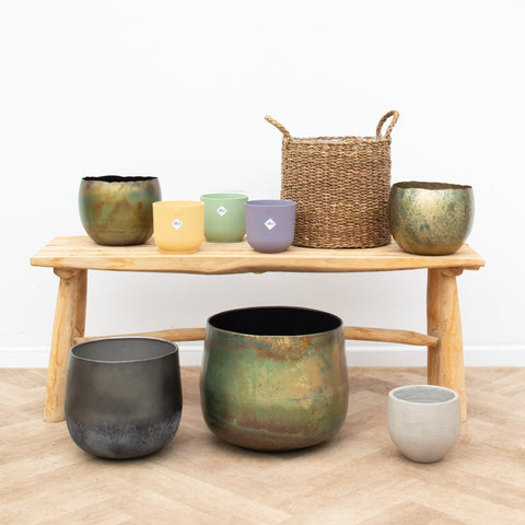 Indendørs krukker og kurve collectie Green Bubble
