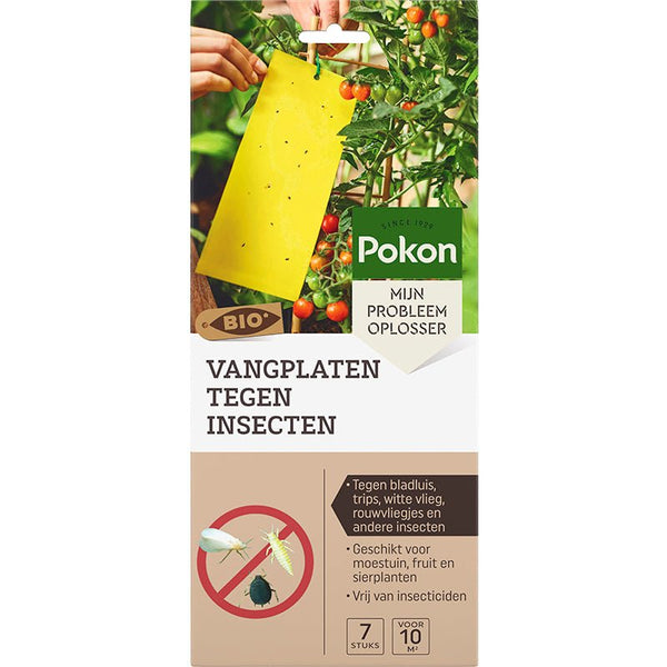 Pokon Bio Gelbtafeln gegen Insekten 7 Stück