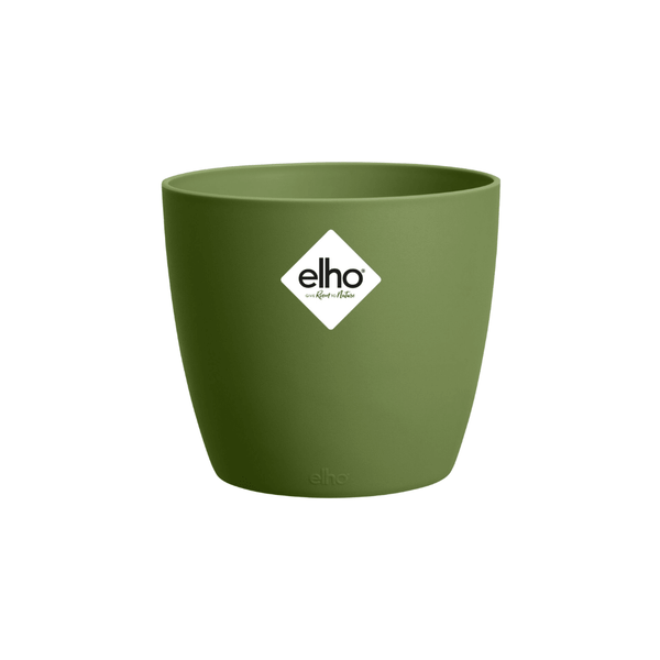 Groen