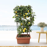 Product afbeelding 4