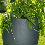 Product afbeelding 2