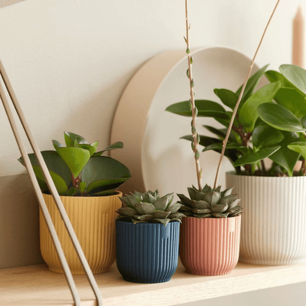 Pot Elho Vibes Fold Round Mini roze
