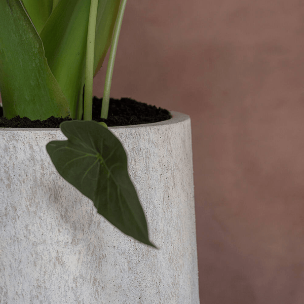 Pot Nax Travertine Beige kopen bij Green Bubble