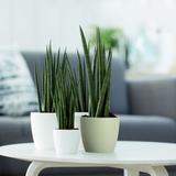 Pot Elho Brussels Round Mini lichtgroen