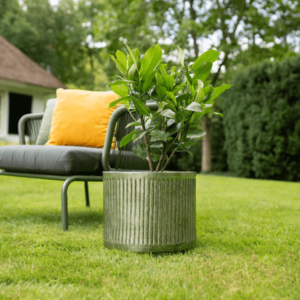 Pot Elna groen kopen bij Green Bubble