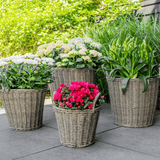Product afbeelding 2