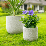 Product afbeelding 2