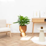 Product afbeelding 1