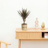 Product afbeelding 2