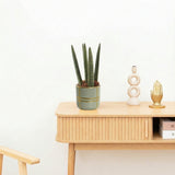 Product afbeelding 2