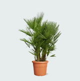 Product afbeelding 1
