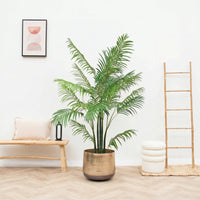 Kunst Areca - 190cm