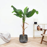 Product afbeelding 1