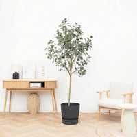 Kunst Eucalyptus - 180cm