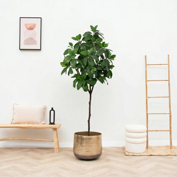 Kunst Magnolia - 190cm kopen bij Green Bubble