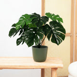 Product afbeelding 1