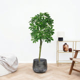 Product afbeelding 1