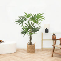 Kunst Rhapis Excelsa - 120cm