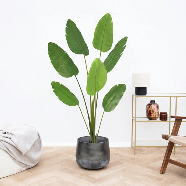 Kunst Strelitzia Nicolai - 170cm kopen bij Green Bubble