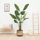 Product afbeelding 1