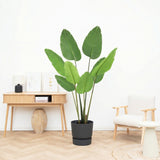 Product afbeelding 1