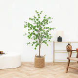 Product afbeelding 1