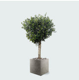 Product afbeelding 4