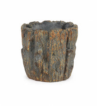 Pot Fossil Bark