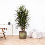 Product afbeelding 1