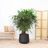 Product afbeelding 1