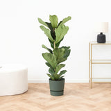 Product afbeelding 1