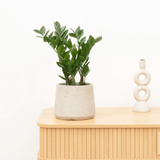 Product afbeelding 1