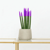 Product afbeelding 1
