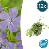 Product afbeelding 8