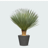 Product afbeelding 4