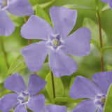 Product afbeelding 5
