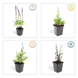 Product afbeelding 3
