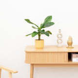 Product afbeelding 2