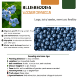 Product afbeelding 3