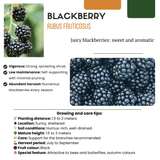 Product afbeelding 5