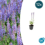 Product afbeelding 7