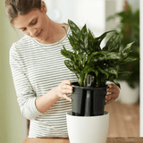 Product afbeelding 2