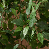 Product afbeelding 2