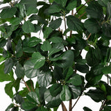 Product afbeelding 2