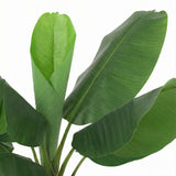 Product afbeelding 2